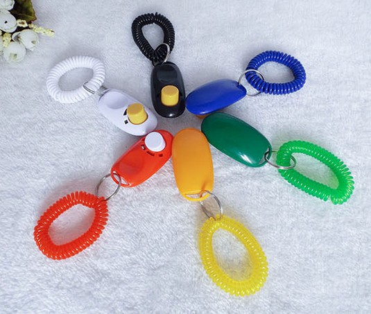 pet training clicker