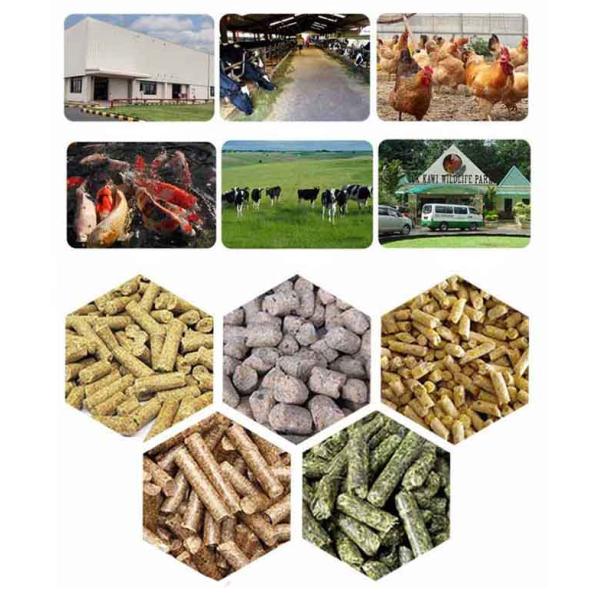 Sheep Cattle Feed Mill Machine Chicken Feed Making Machine For Poultry 1-2Ton/H