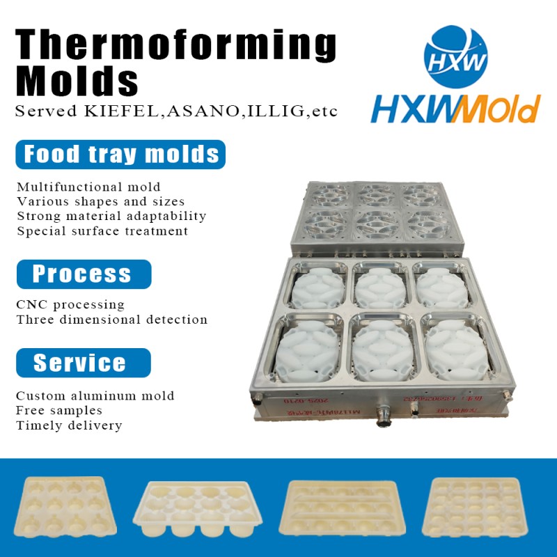 High Precision Automatic Three Station Thermoforming Mold for PP Plastic Dumplings Tray Food Container Production