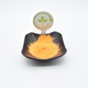 Quality 95% Turmeric Curcumin Natural Food Colorings USP Anti Oxidant for sale