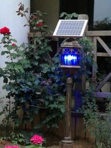 Quality Solar-Powered Outdoor Bug Zapper / Mosquito Killer - Hang or Stick in the Ground for sale