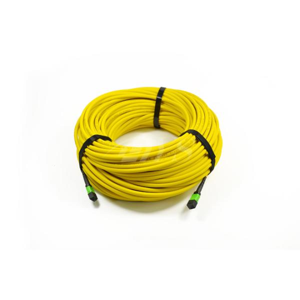 MPO - MPO/MTP APC 6.0mm Single Mode 24 Core MPO Trunk Cable ISO9001 ROHS