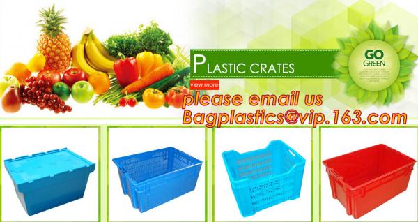 PP plastic storage box for electronic components storage, Adjustable Storage Box Plastic Case Home Organizer Jewelry Bea