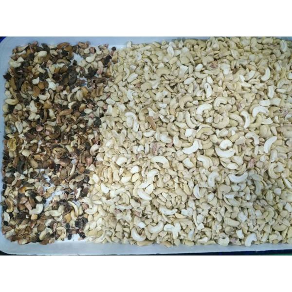 5 Tons Coffee Bean Sorter Chia Seed Garlic Sea Salt Rice Grain Color Sorter