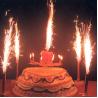 20 cm 35S birthday candle fireworks for sale