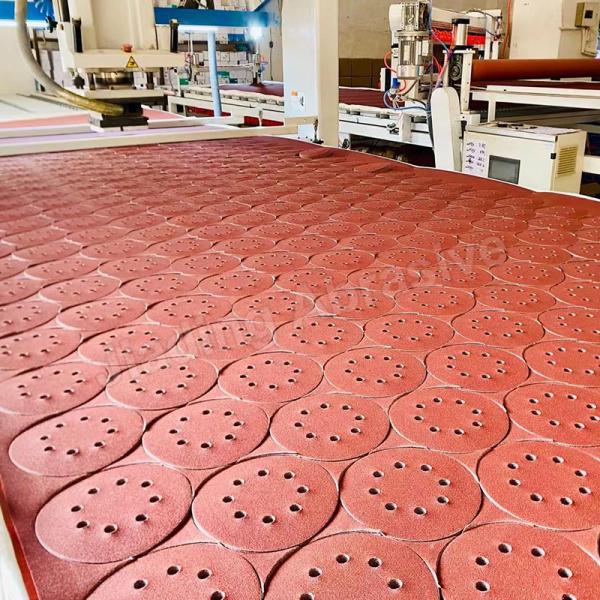 OEM Support D Weight Hook and Loop Abrasive Paper Disc for Customized