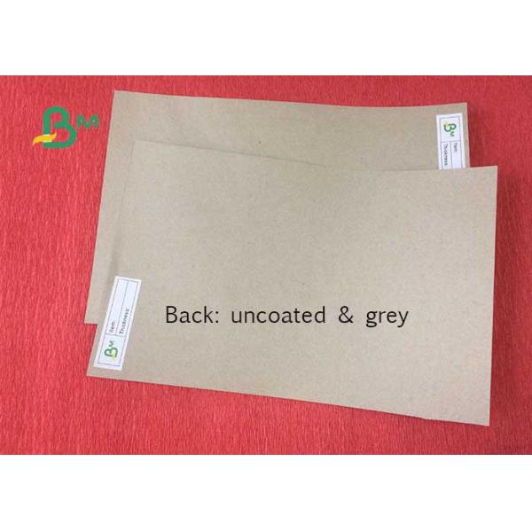 Recyclable Pulp Material Clay Coated Paper / Duplex Board White Back