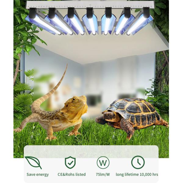 1275lm Reptile Light