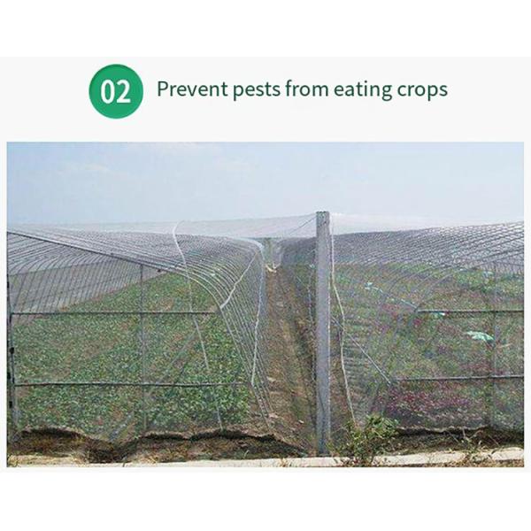 Good Quality Customized Farm Vegetable Protection Insect Mesh Insectproof Net