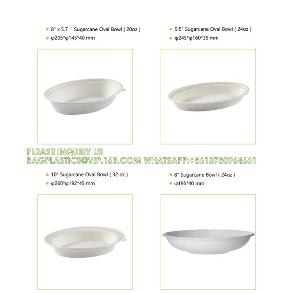 Biodegradable Disposable Compostable Sugarcane Bagasse Food Container Paper Pulp Bowl 12oz 24oz 32oz Round Salad