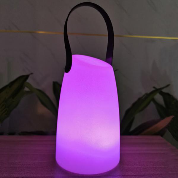 Plastic Portable LED Lamp Wireless Remote Control For Garden