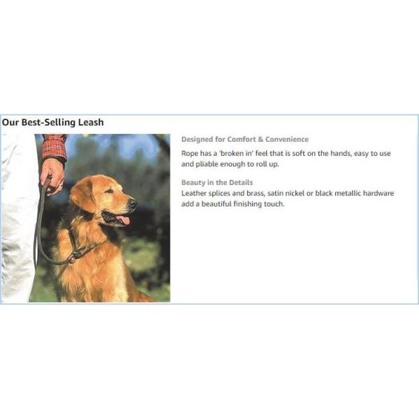 Reflective Nylon Dog Leash , Dog Training Collars Soft Comfortable Waterproof