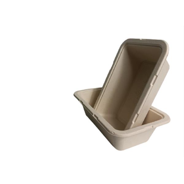 10×6 Inch 1050ml 35g Biodegradable Salad Boxes