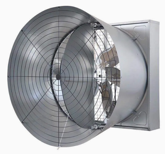 Pre-engineered Broiler Chicken House with Low Maintenance and Customizable Exterior Finishes for Efficient Poultry Farming