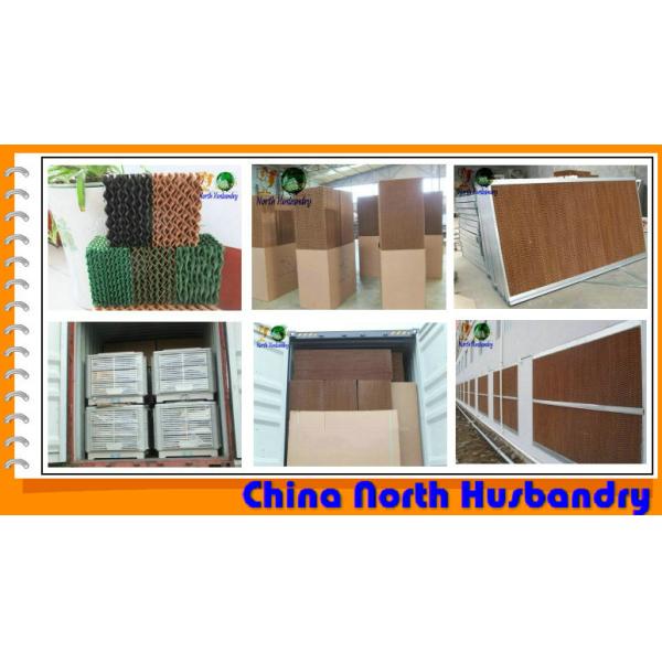 China North Husbandry Greenhouse Ventilation