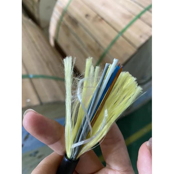 12/24/48 Core Communication Cable Optical Fiber Cable Overhead ADSS