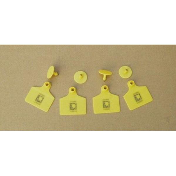 Plastic Animal Ear Tag UV Laser Marking Machine Desktop Type Structure
