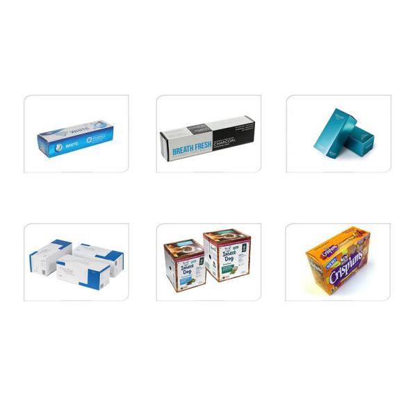 220V Pharmaceutical Cartoning Machine ZH-50 Automatic Box Packing Machine