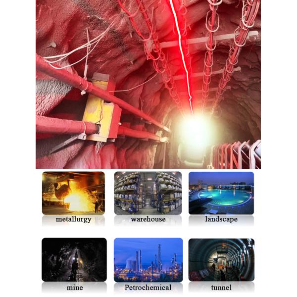 576LM DC36V Flexible underground LED Strip Light SMD5050 Explosive Proof
