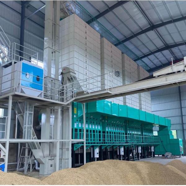200 Tons Automatic Rice Raw Paddy Dryer Low Temperature Drying