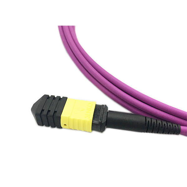 OFNP MPO Patch Cable