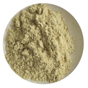 China Pure Natural Olive Leaf Extract Powder Oleuropein 50% on sale