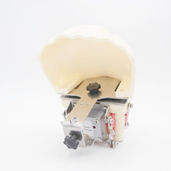 Oral Anesthesia Training Model Realistic Gum Jaw Simulation for Injection Practice Dental Conduction Anesthesia Model