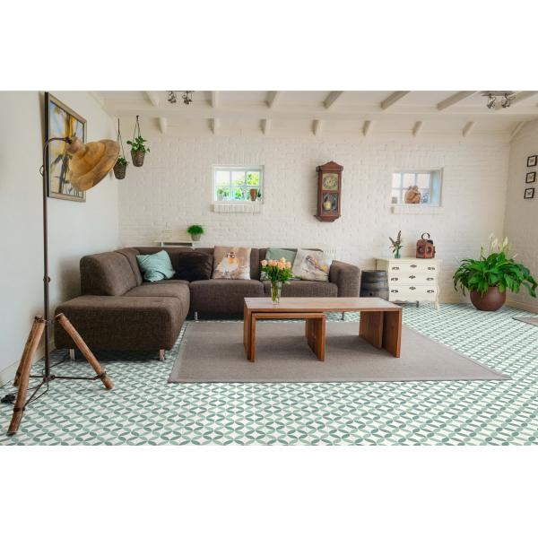 Light Green Ceramic Rustic Tile 250x250mm for Indoor Floor