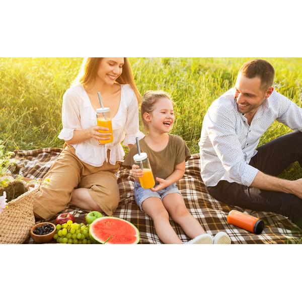 Glass Juicing Bottles with 2 Straws & 2 Lids w Hole- 16 OZ Travel Drinking Jars, Water Cups with Black Airtight Lids
