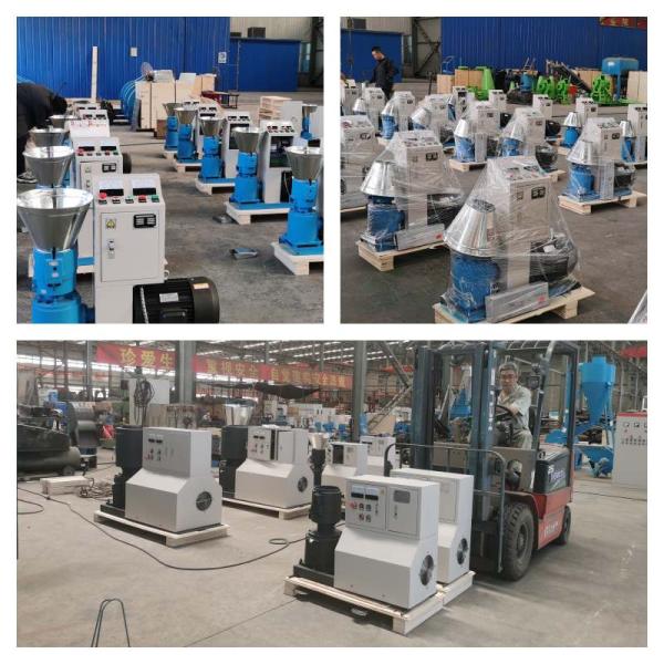 500kg Animal Feed Pellet Machine Cattle Chicken Feed Making Machine