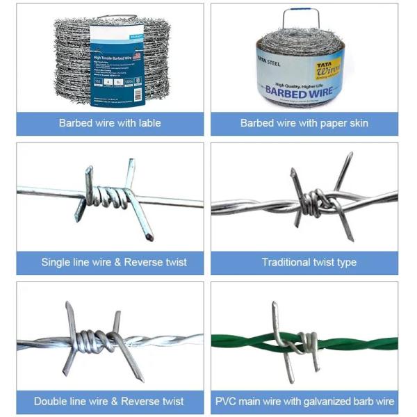 barbed wire