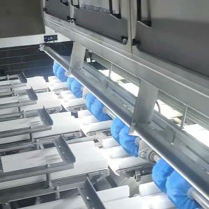 High Capacity Nut Kernel Color Sorting Machine Utilizing High Frequency Linear