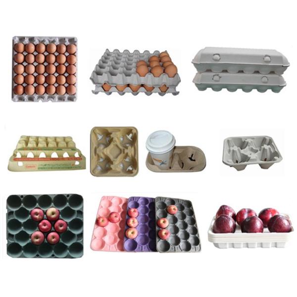 1400Pcs/H Automatic Paper Egg Carton Making Machine / Fruit Tray Moulded Pulp Machine