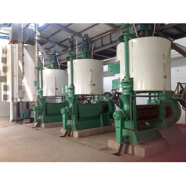 Large automatic Peanut Oil Press Machine