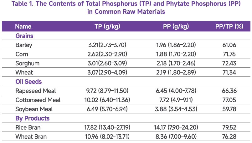 High-Temp Phytase Enzyme For Poultry Feed Reducing Feed Ingredients DCP Use