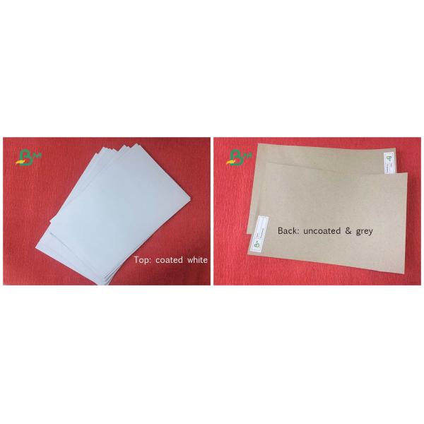 Coated 300gsm Thickness Duplex Board Sheet / Roll For Hangtags