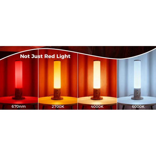 Dimmable lighting demonstration showing multiple brightness levels