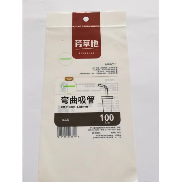 Composite Technology CPP Custom Plastic Seal Bags With Hung On Hole