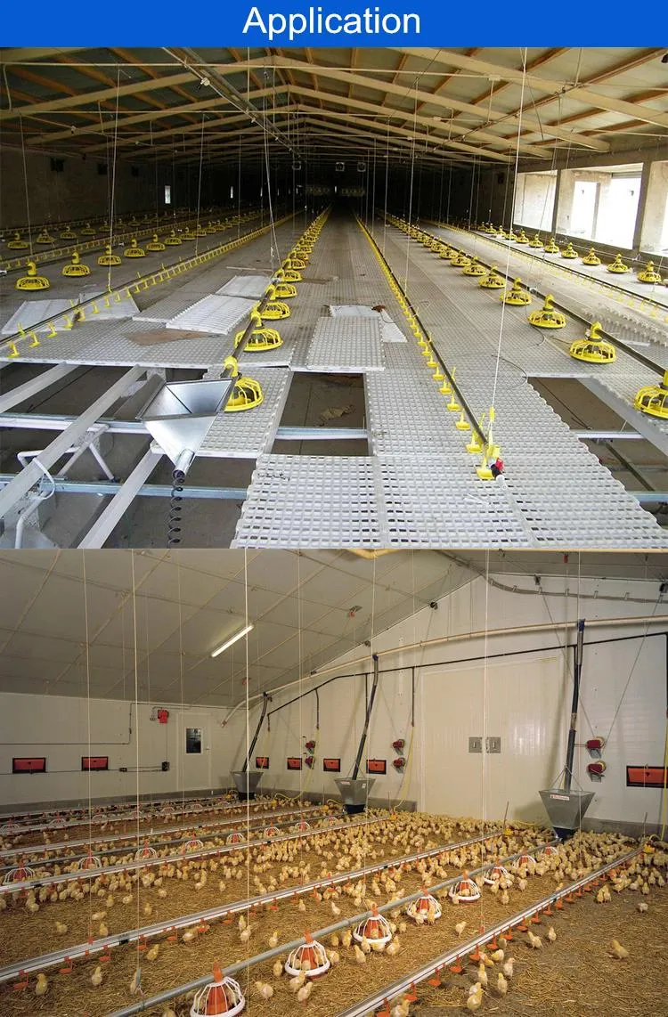 Adjustable Anti Waste Automatic Pan Feeding System for Efficient Broiler Feeding