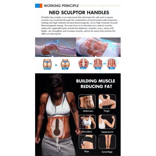 High Intensity Muscle Sculpting Machine , Fat Reducing EMS Slim Machine