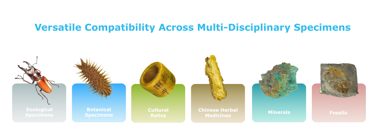 3DDS Rapid 3D Specimen Digitization & Reconstruction System