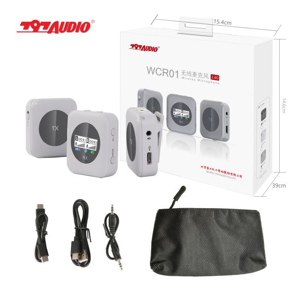 797AUDIO Dual Channel Wireless Handheld Microphone System Plastic Wireless Microphone for Violin WCR01 2.4G USB Digital Output