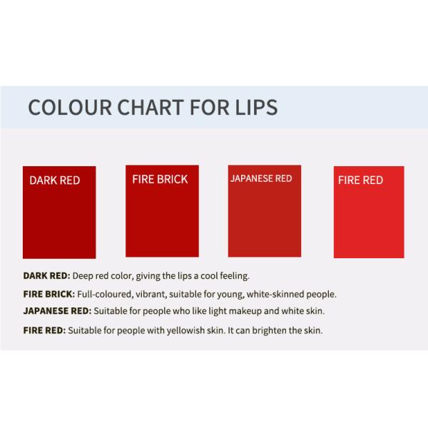 Emulsion 12ML Semi Permanent Makeup Pigments For Eyebrows lip