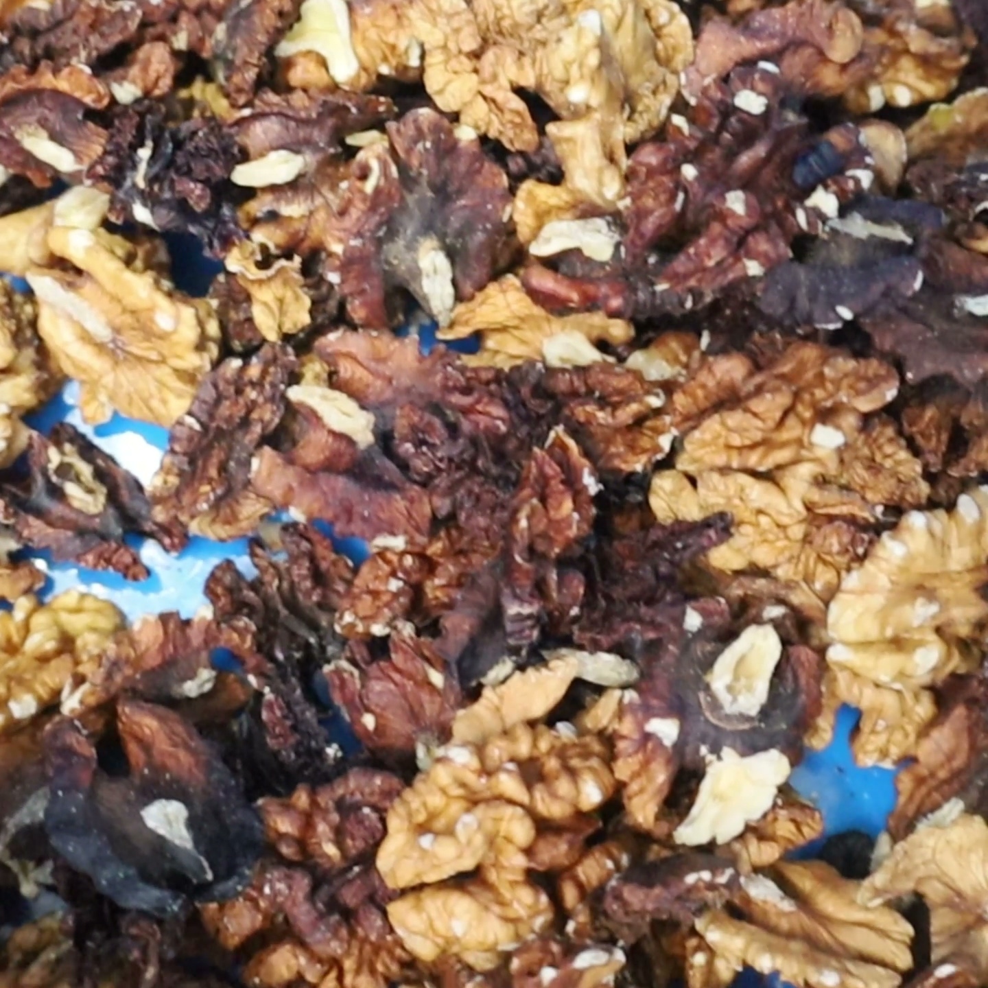 Smart walnut kernel sorting machine with deep learning multi-profile capability