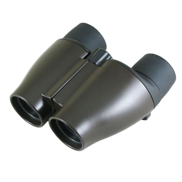 Field Angle 5.5 Degree 10x Compact Folding Binoculars 25mm Obj.Lens