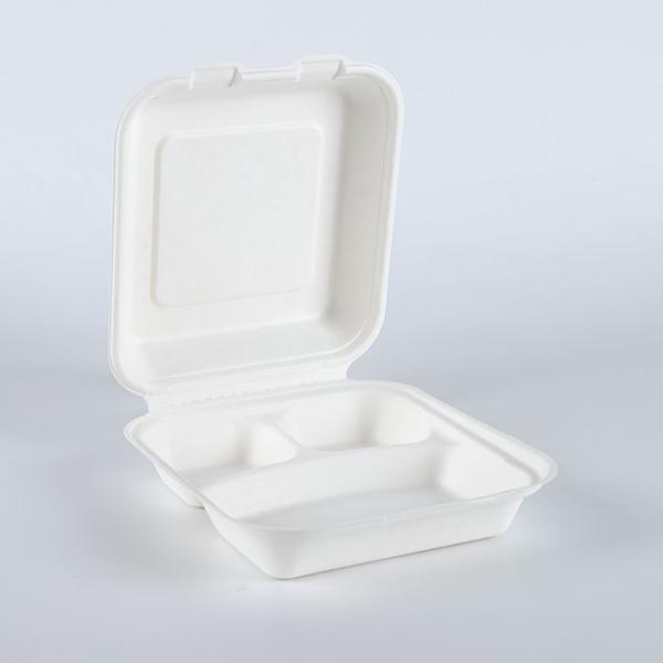 8x8 3 compartment bagasse pulp hinged delivery container box