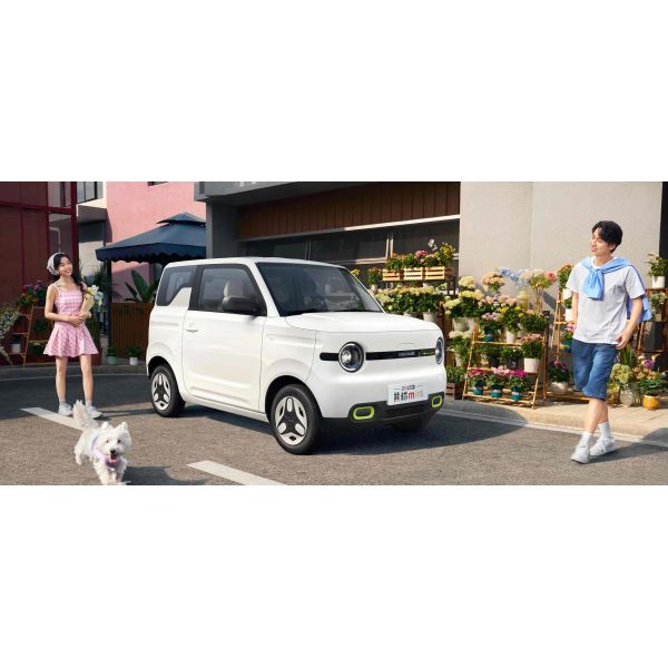 2025 Cheapest 4 Wheel Left Hand Drive Automatic Vehicles Geely Panda Small Mini Ev Electric Used New Cars Made in China for Sale