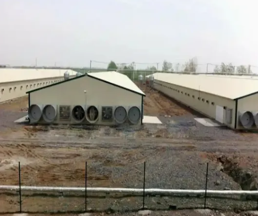 Quick Assembly Hot-Dip Galvanized Steel Poultry House with Customizable Layout
