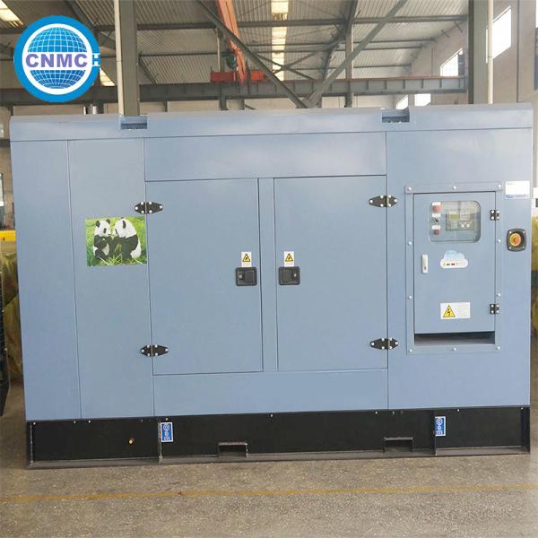 50Hz 60Hz CUMMINS Diesel Generator Multi Function Electric Manual
