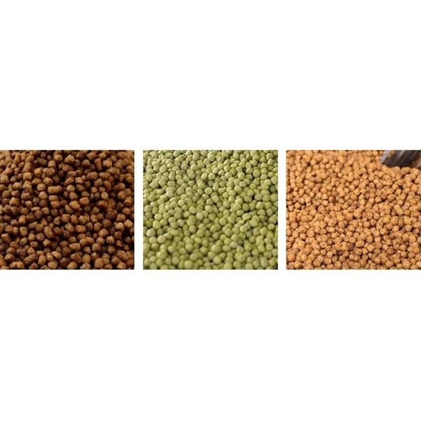 Homemade Dog Food Extruder machine Processing Line Making Small Floating Fish Feed Pellet Extruder Machine Used Pet Food Extruders for Sale